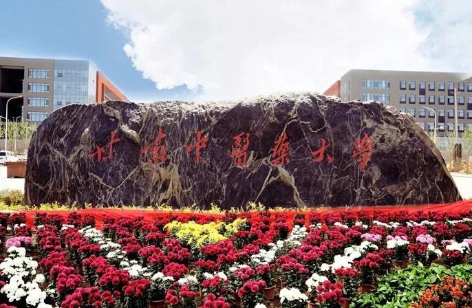 甘肃阳光下的温馨瞬间